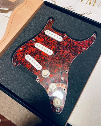 Pickup squier ceramici