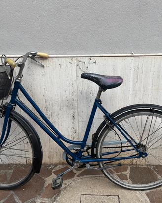 bicicletta da donna con cestino