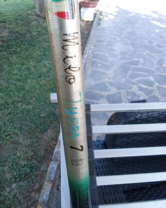 canne da pesca 