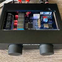 Douk Audio amplificatore in classe D Nobsound