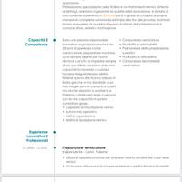 Verniciatore preparatore auto