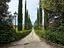 Immagine 21