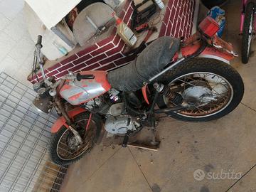 Ducati scrambler 250