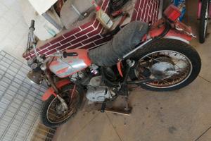 Ducati scrambler 250