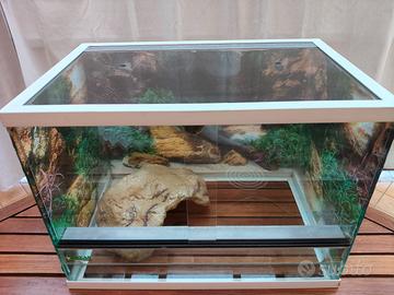 Terrario in vetro