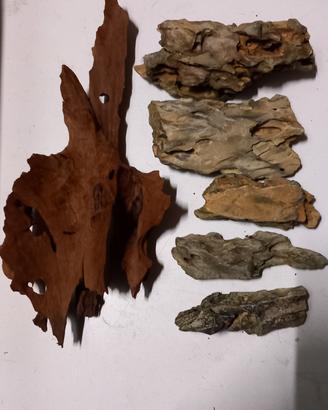 Legno e rocce