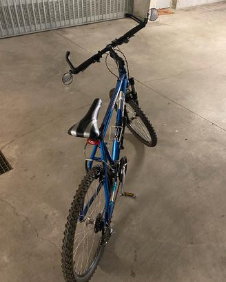 Mountain bike