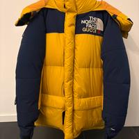 Tha North Face Gucci