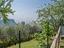 Immagine 28