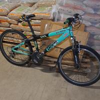 Mountain bike ragazzo