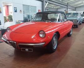 ALFA ROMEO Spider Duetto osso di seppia 1.3