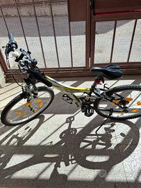bicicletta 24