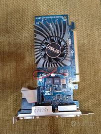 Scheda Grafica ASUS 210-1GD3-L 1 GB