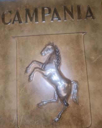 LIBRO DI PREGIO SULLA CAMPANIA
