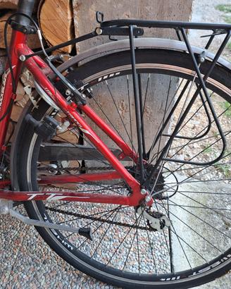 bicicletta donna