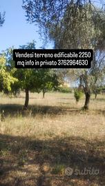Terreno pianeggiante 2250mq