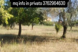 Terreno pianeggiante 2250mq