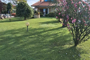 villa singola  su 1400.mq edificabe 