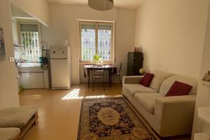 Grande Bilocale zona Frattini