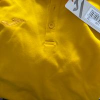 Polo Joma