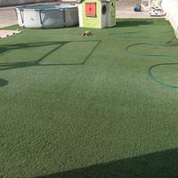 Prato inglese spessore 4 cm