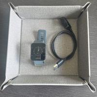 Garmin Forerunner 30