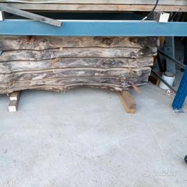 Tavole radica di pioppo