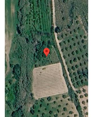 Terreni agricoli
