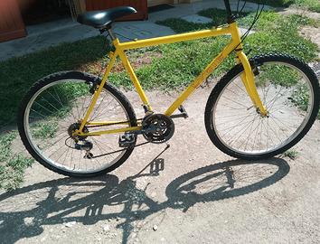 Mountain bike