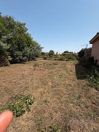 Terreno Edificabile 1.217 mq Anzio Sacida