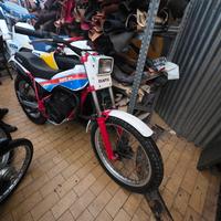 trial fantic motor  40.3