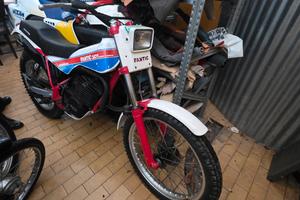 trial fantic motor  40.3