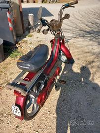 motorino si' bordò 