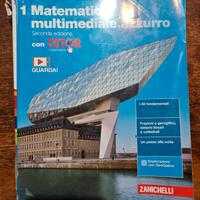 matematica multimediale volume 1 Zanichelli 