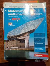 matematica multimediale volume 1 Zanichelli 