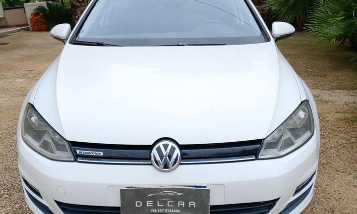 Volkswagen Golf Business 1.4 TGI 5p. Highline Blue