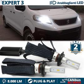 Kit Lampadine LED per Peugeot Expert 3 Luce Bianca