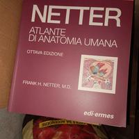 atlante di anatomia per fisioterapia 