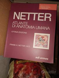 atlante di anatomia per fisioterapia 