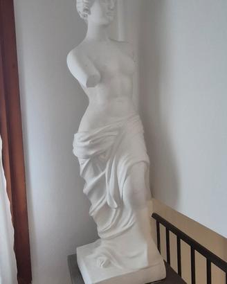 statua di Venere in gesso