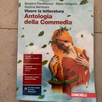vivere la letteratura antologia della commedia