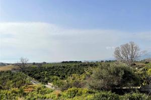 Rif.LA03| terreno agricolo mascali