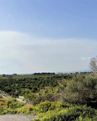 Rif.LA03| terreno agricolo mascali