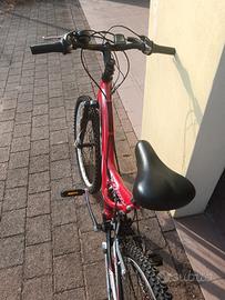 bicicletta ragazzo/a