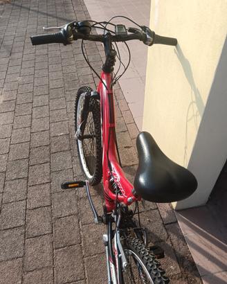 bicicletta ragazzo/a