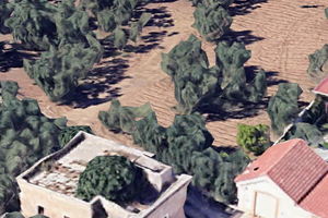 Uliveto con camera non abitabile