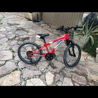 Mountanbike tecknobike speed 20