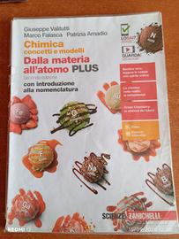 Chimica concetti e m.Dalla materia all' atomo plus
