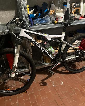 Cannondale Scalpel
