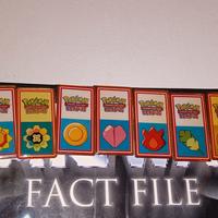 medaglie palestra carte Pokemon originali 